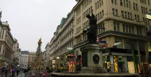 Knowing Vienna
